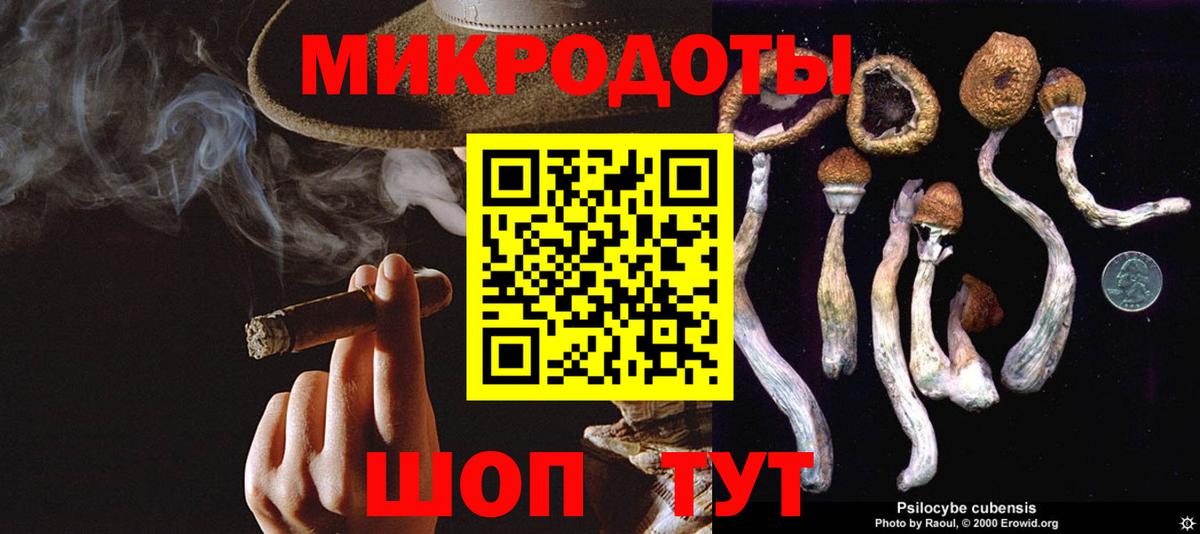 цена наркотик  Вход с VPN  Нижний Тагил  Псилоцибиновые грибы прущие грибы  Псилоцибиновые грибы мицелий 
